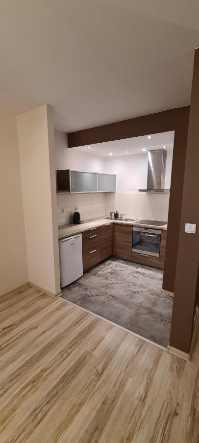 Quiet Apartments II Koscielna Poznan Ngoại thất bức ảnh